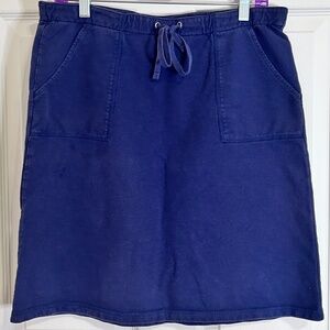 Navy Westbound Mini Skirt